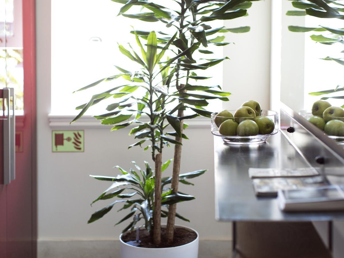 Be Mate Casa Di Bava Apartment Istanbul Ngoại thất bức ảnh